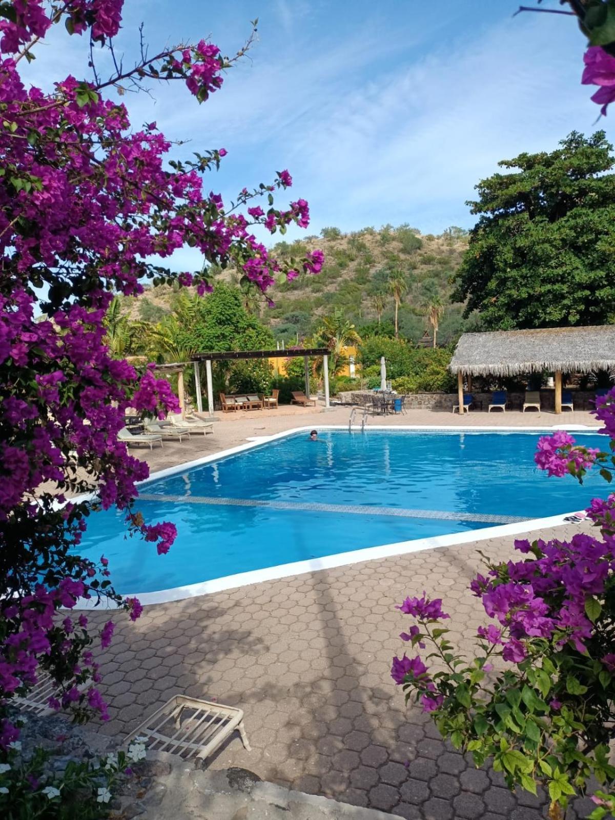 Tripui Hotel Puerto Escondido  Екстер'єр фото